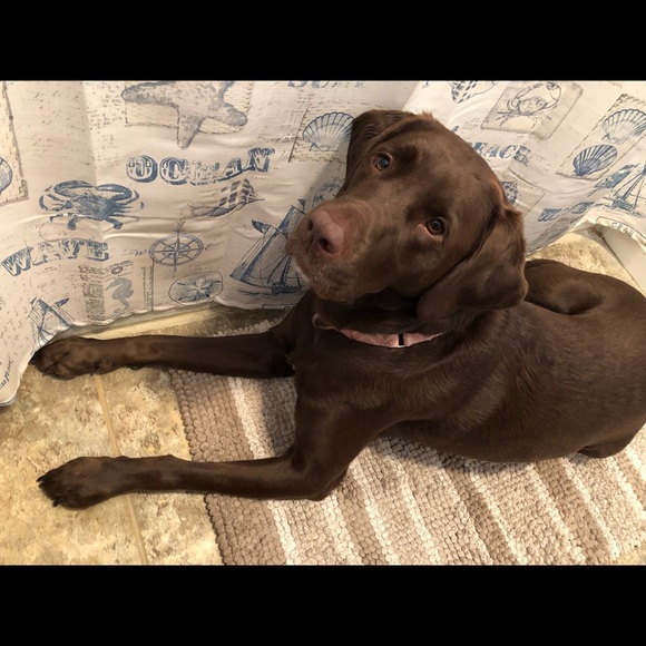 Meet your Posher, Diane - Picture 3 of 8